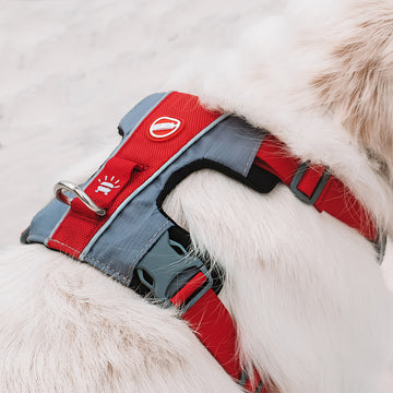 EzyDog X-Link Harness Front Clip No Pull Dog Harness