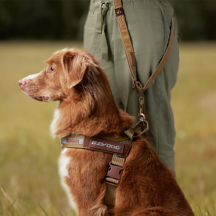 Multifunction Leash Vario 4 Leash | Multi-Function Dog Lead – Denim